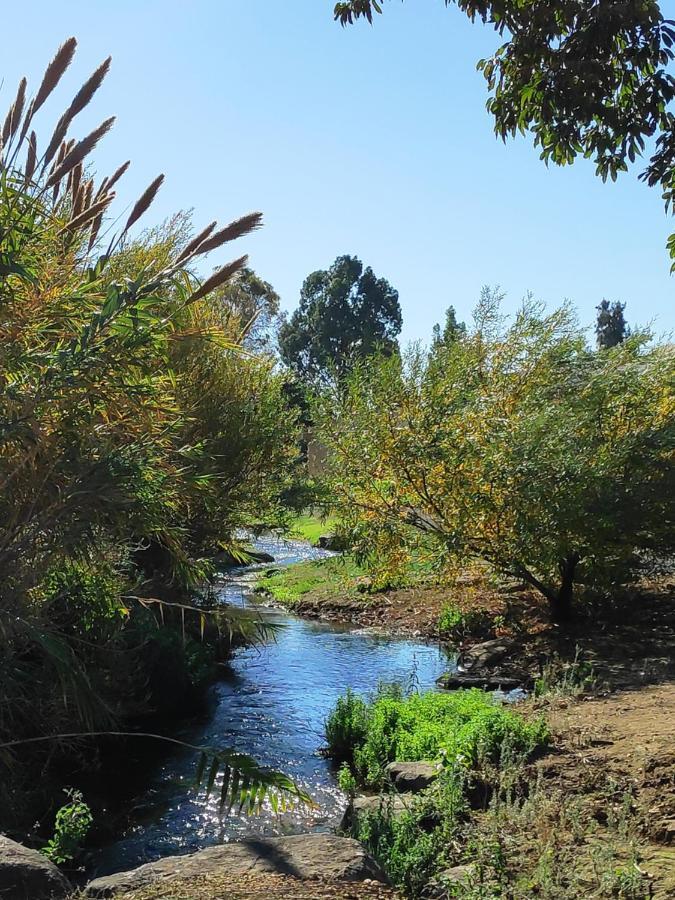 Villa By The River Facing The Hermon In Dafna Exterior foto